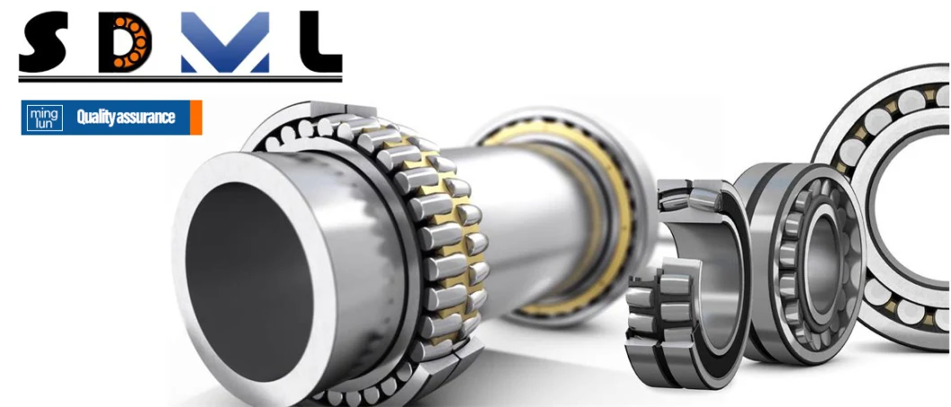 Double Row Self-Aligning Roller Bearing 22205 22206 22207 22208 22209 22210 22211 22212 22213 22214 22215 22216 22217 22218