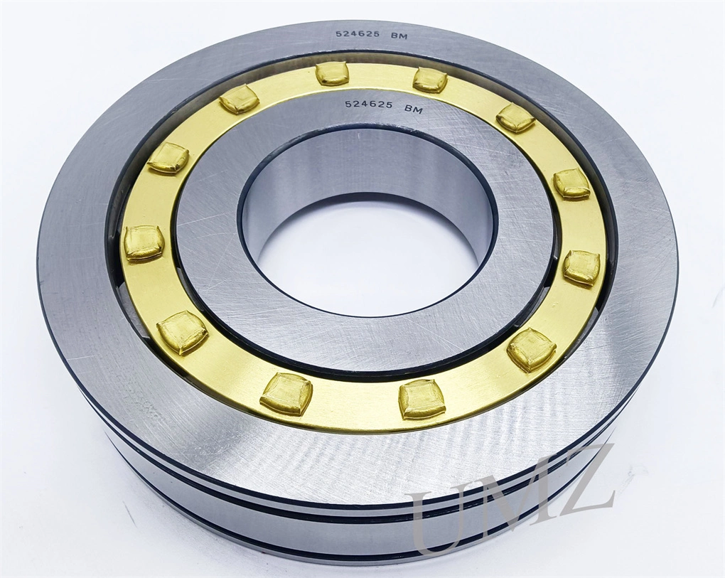 Hot Sale Gearbox Bearing 524625 539090m 512533 Cylindrical Roller Bearing with High Quality