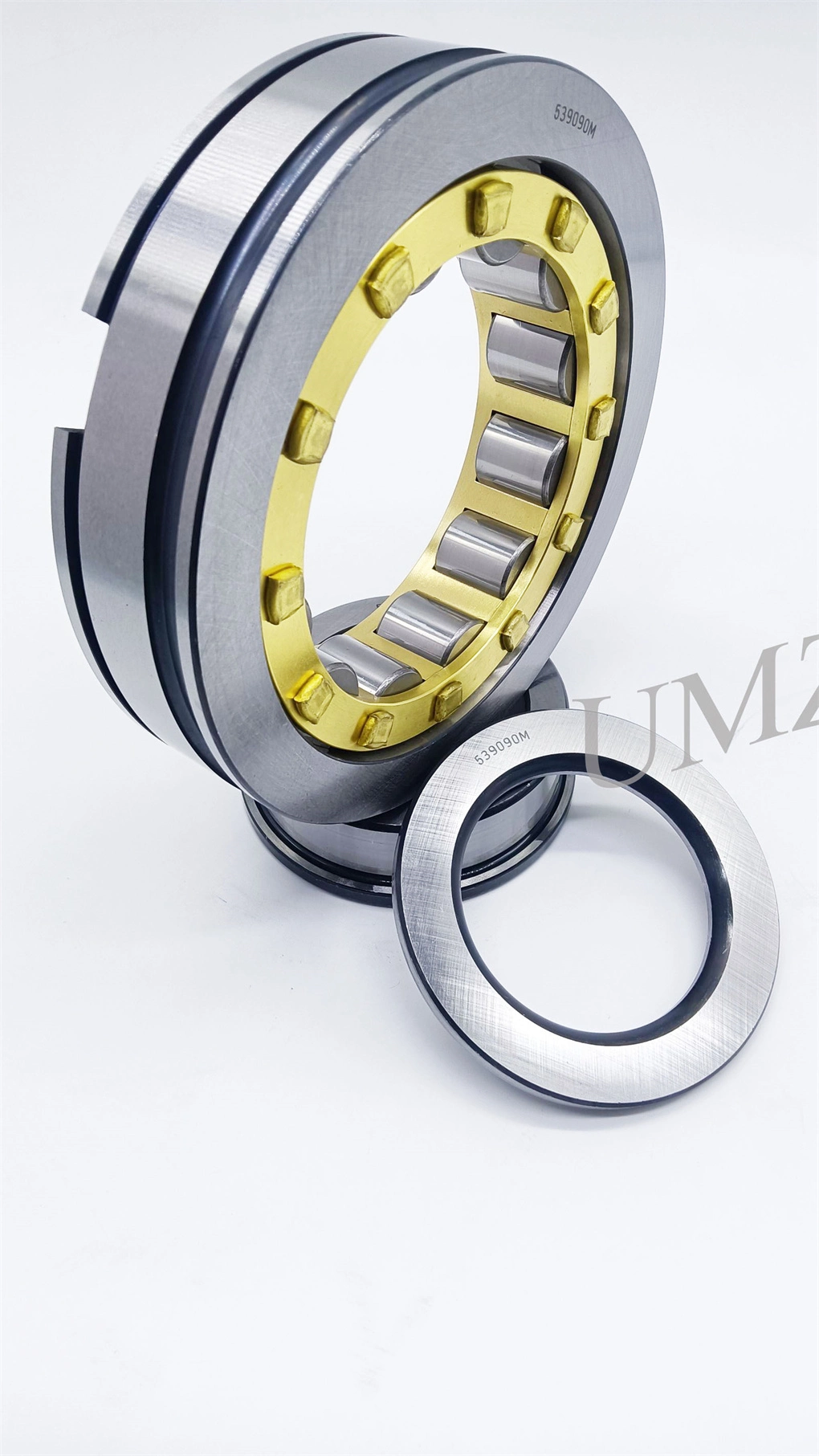 Hot Sale Gearbox Bearing 524625 539090m 512533 Cylindrical Roller Bearing with High Quality